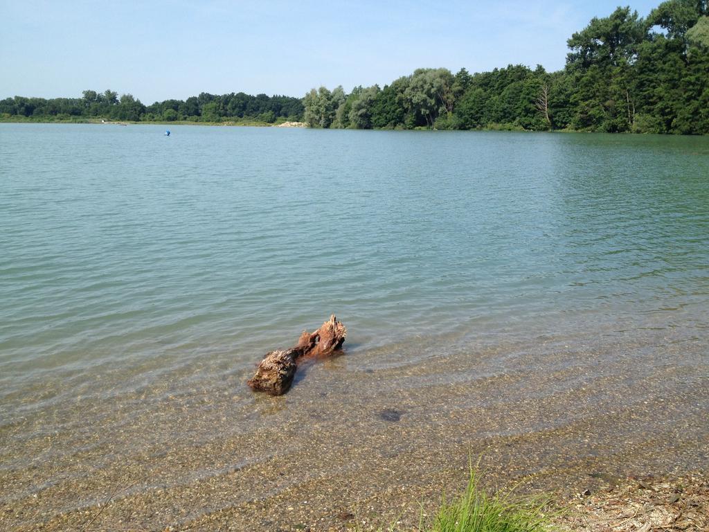 Landgasthof Zur Sonne I Hotel & Restaurant Neuburg am Rhein Eksteriør billede